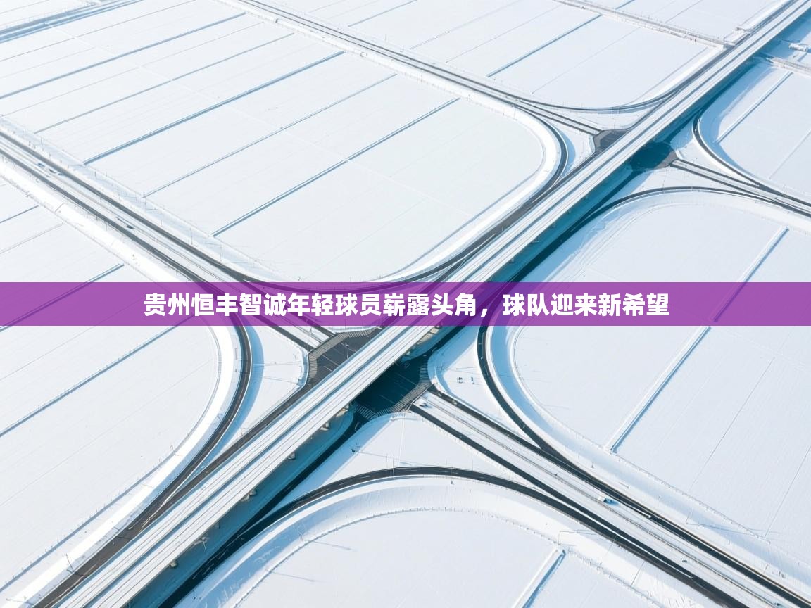 开云体育-贵州恒丰智诚年轻球员崭露头角，球队迎来新希望  第2张