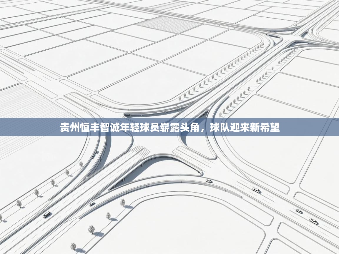 开云体育-贵州恒丰智诚年轻球员崭露头角，球队迎来新希望  第3张