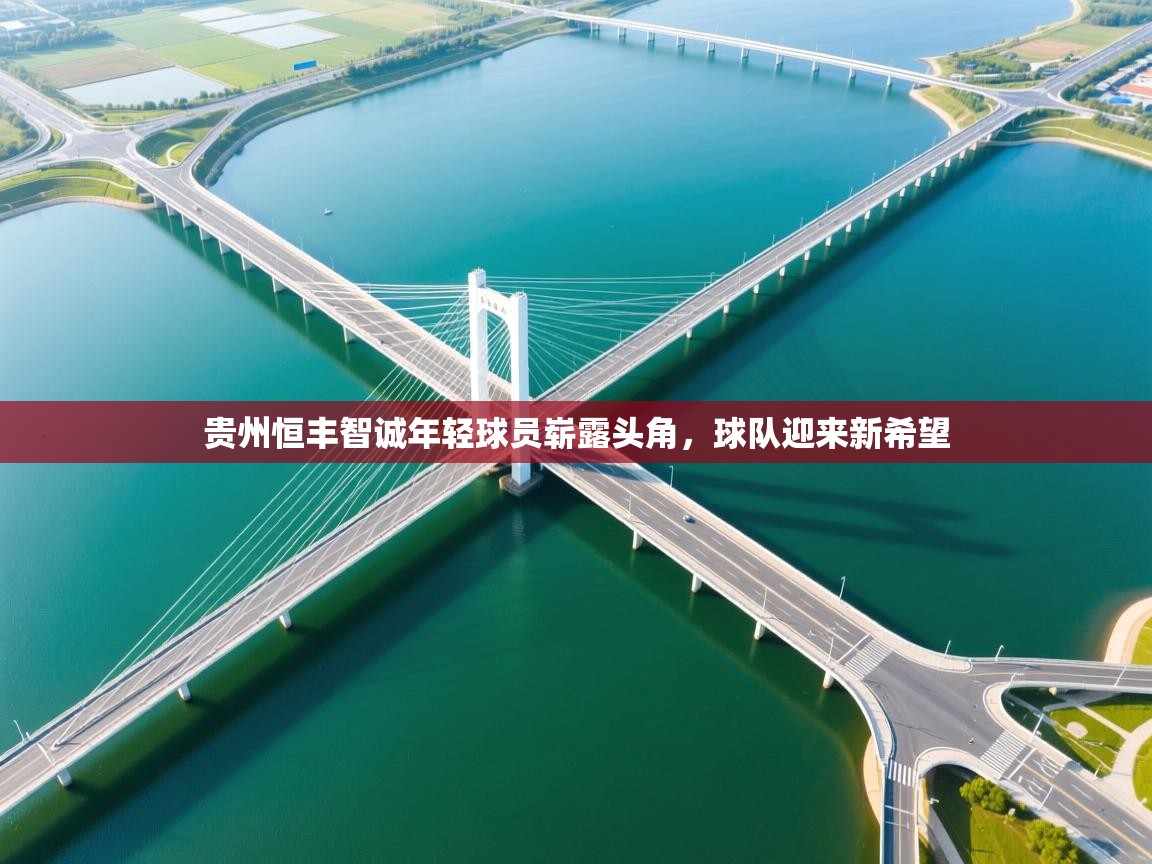 开云体育-贵州恒丰智诚年轻球员崭露头角，球队迎来新希望  第4张