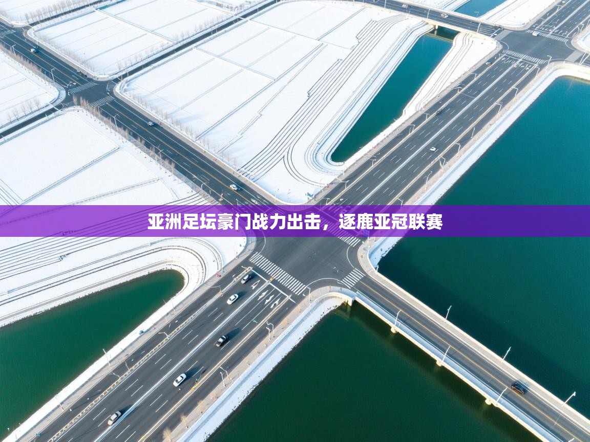 开云体育app官网入口网页版-亚洲足坛豪门战力出击，逐鹿亚冠联赛  第4张