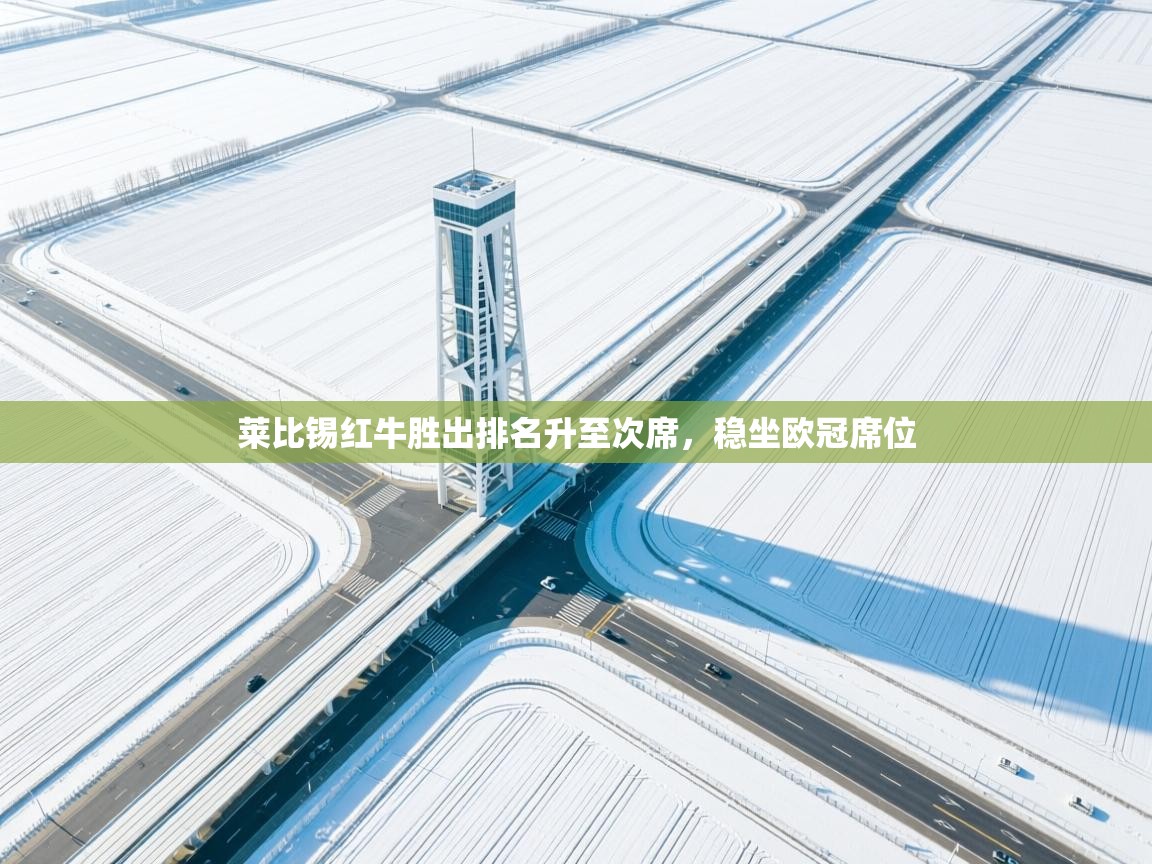 开云体育英文版入口-莱比锡红牛胜出排名升至次席，稳坐欧冠席位  第2张