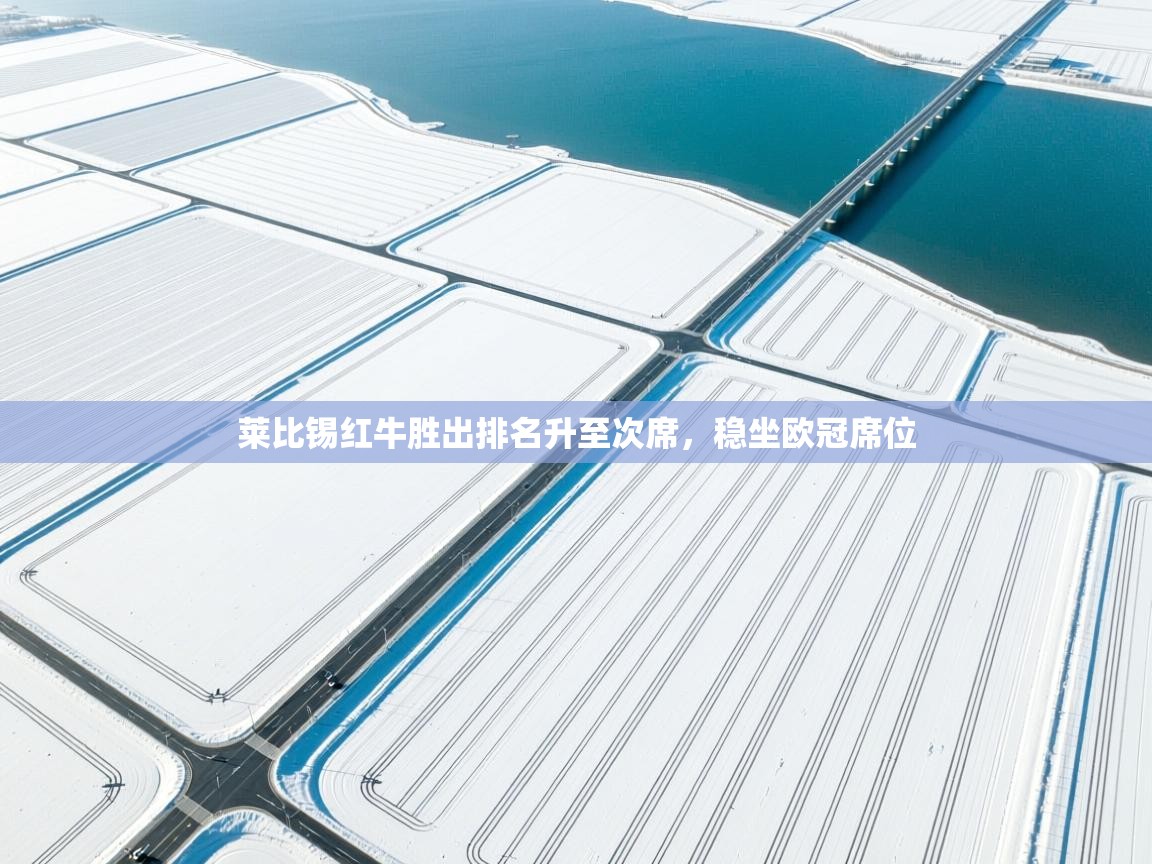 开云体育英文版入口-莱比锡红牛胜出排名升至次席，稳坐欧冠席位  第4张