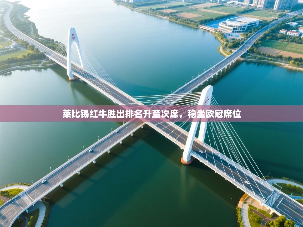 开云体育英文版入口-莱比锡红牛胜出排名升至次席，稳坐欧冠席位  第3张