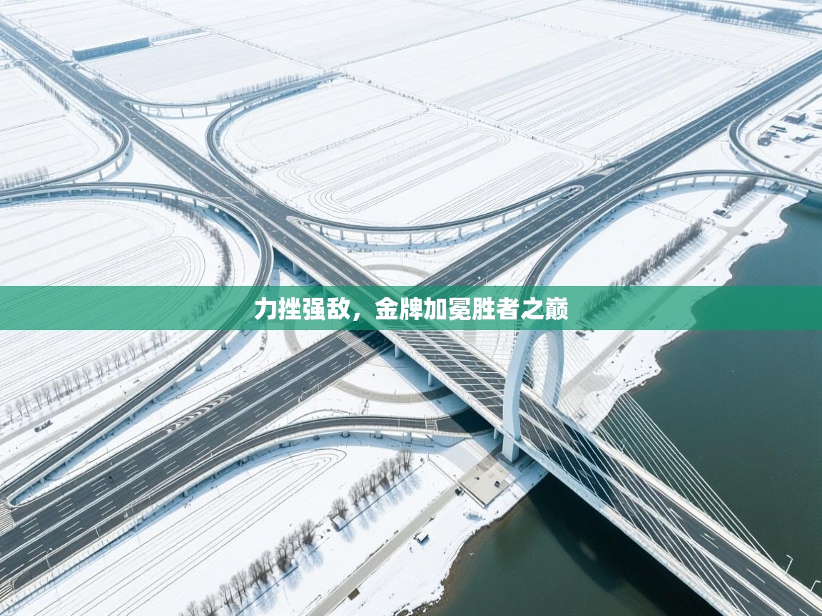 开云体育app下载地址-力挫强敌,金牌加冕胜者之巅 第2张