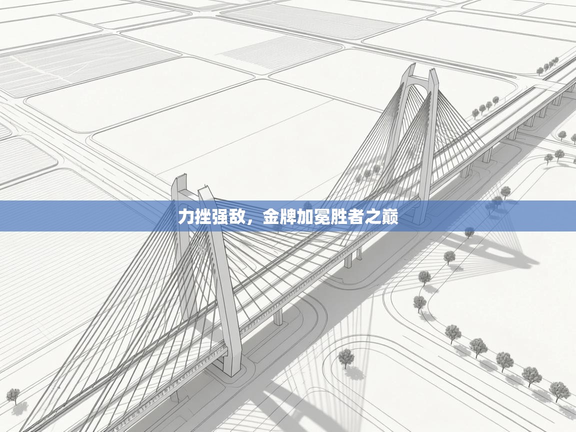 开云体育app下载地址-力挫强敌,金牌加冕胜者之巅 第3张