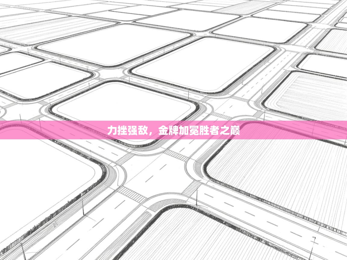 开云体育app下载地址-力挫强敌,金牌加冕胜者之巅 第4张