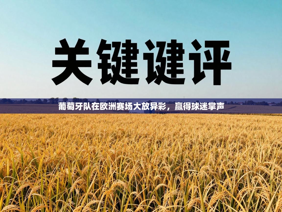 开运体育登录入口-葡萄牙队在欧洲赛场大放异彩，赢得球迷掌声  第2张