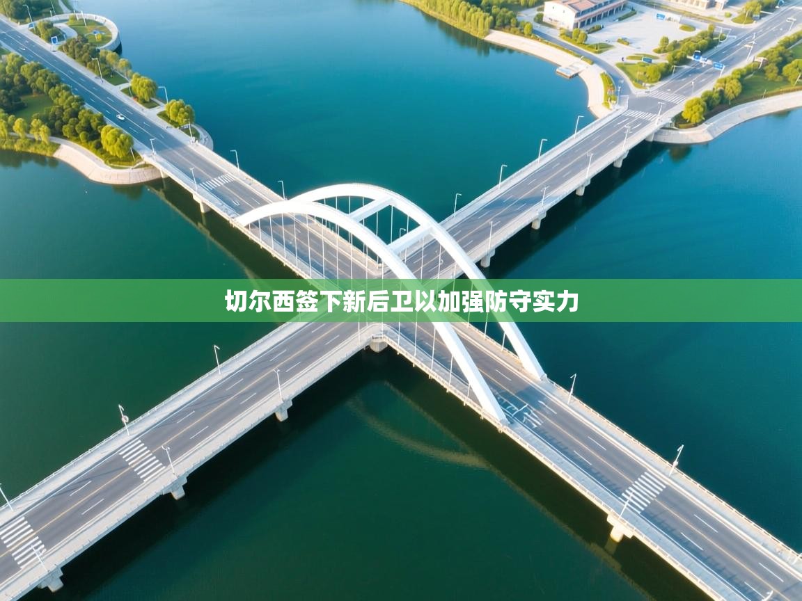 开云体育推送通知设置-切尔西签下新后卫以加强防守实力